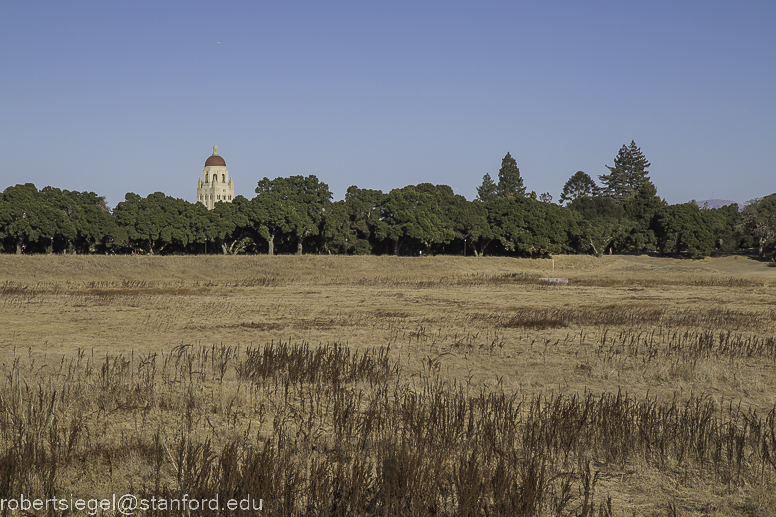 lagunita